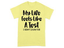 My Life Feels Like A Test I Didn't Study For T-shirt